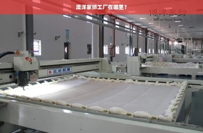 澳洋家纺工厂在哪里?