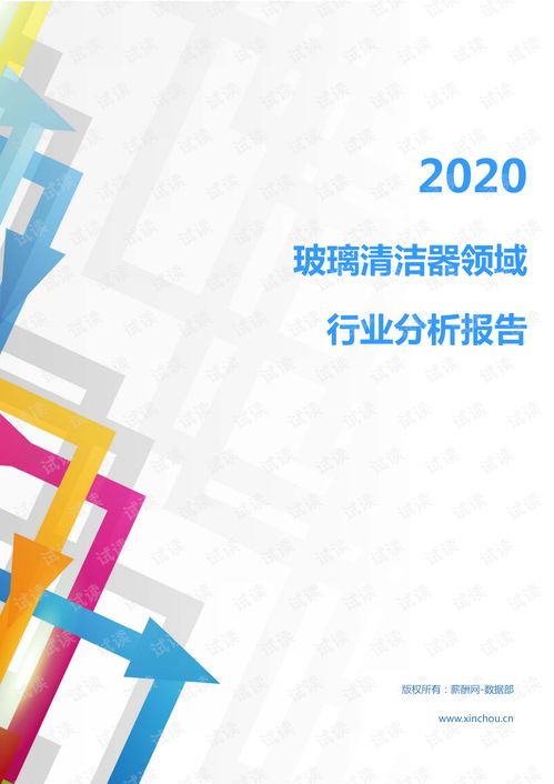 2020年家电家居清洁用品行业玻璃清洁器领域行业分析报告 市场调查报告 .pdf